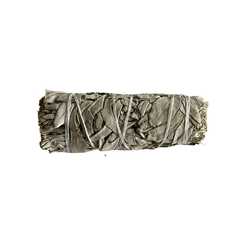 White Sage 4"  Smudge Stick