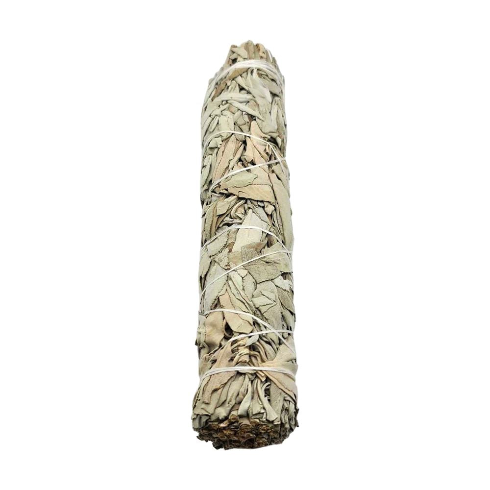 White Sage 8" Smudge Sticks