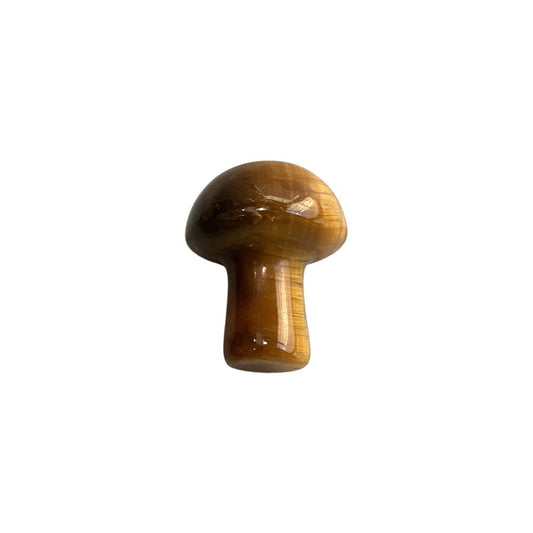 Tiger's Eye Mushroom 2cm